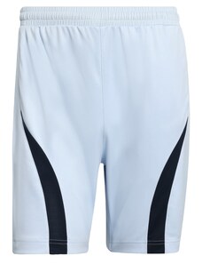 ADIDAS ORIGINALS Παντελόνι 'Teamgeist Adicolor' μπλε μαρέν / μπλε παστέλ