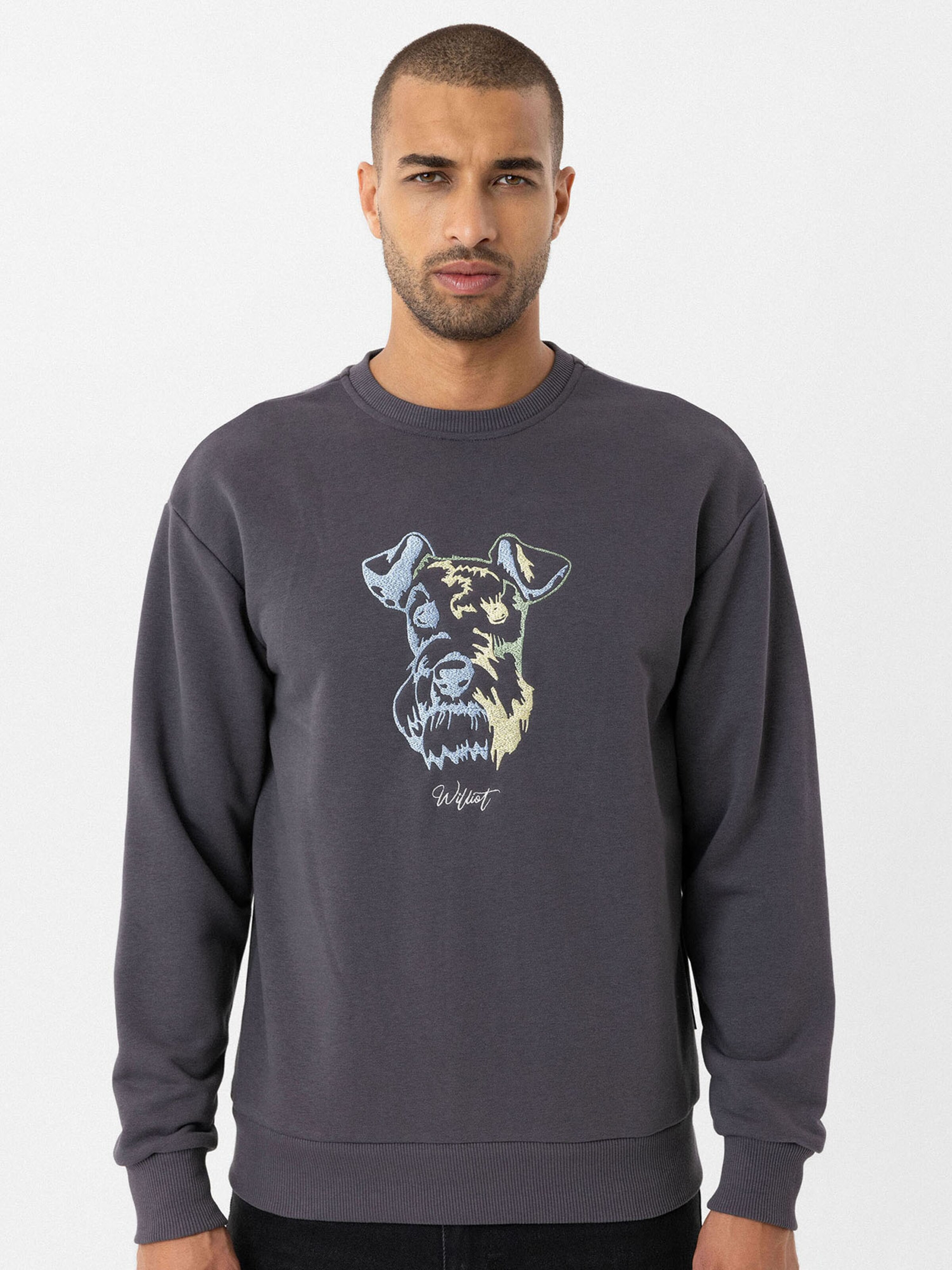 Williot Μπλούζα φούτερ γκρι / ανάμεικτα χρώματα