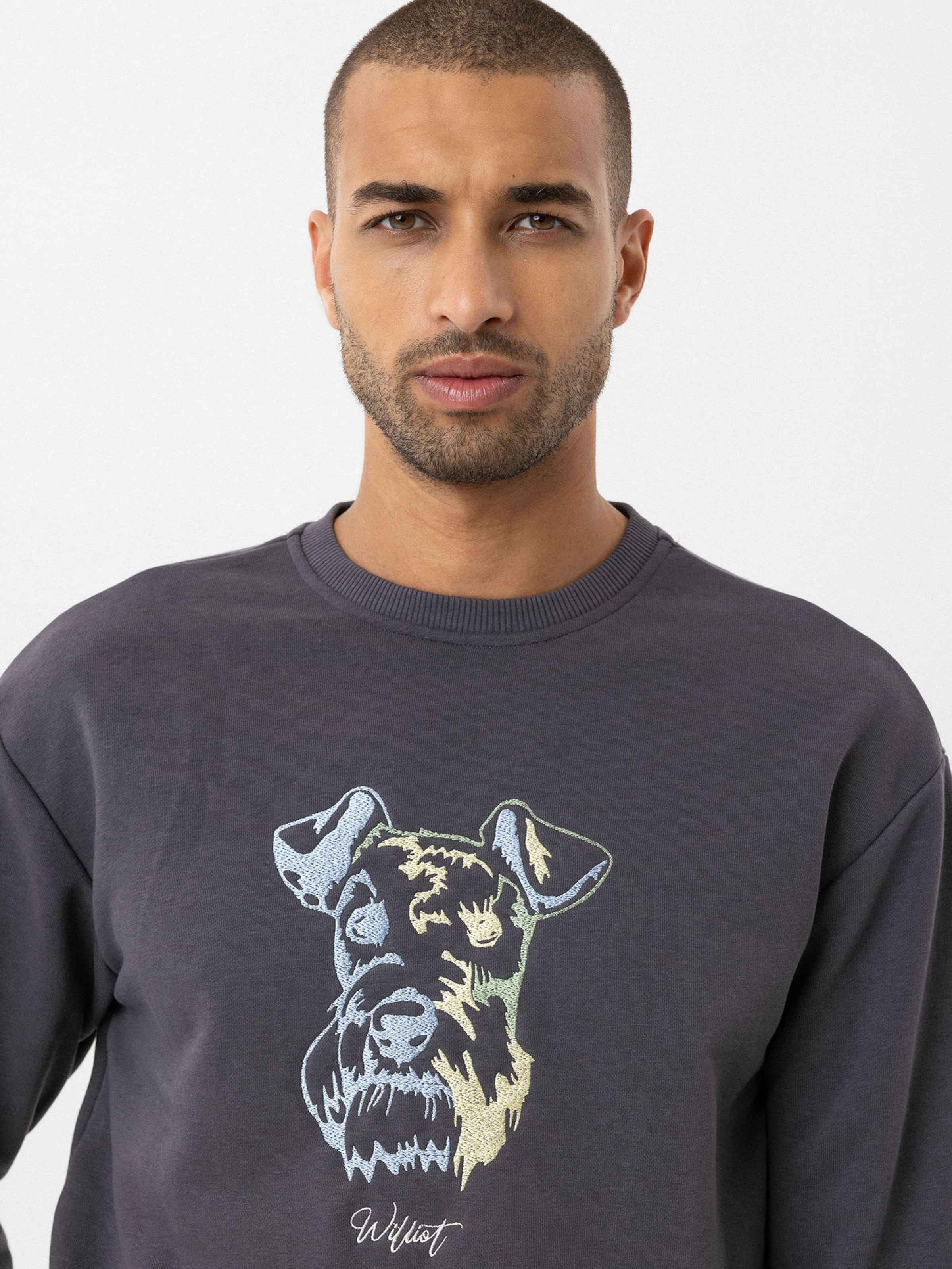 Williot Μπλούζα φούτερ γκρι / ανάμεικτα χρώματα