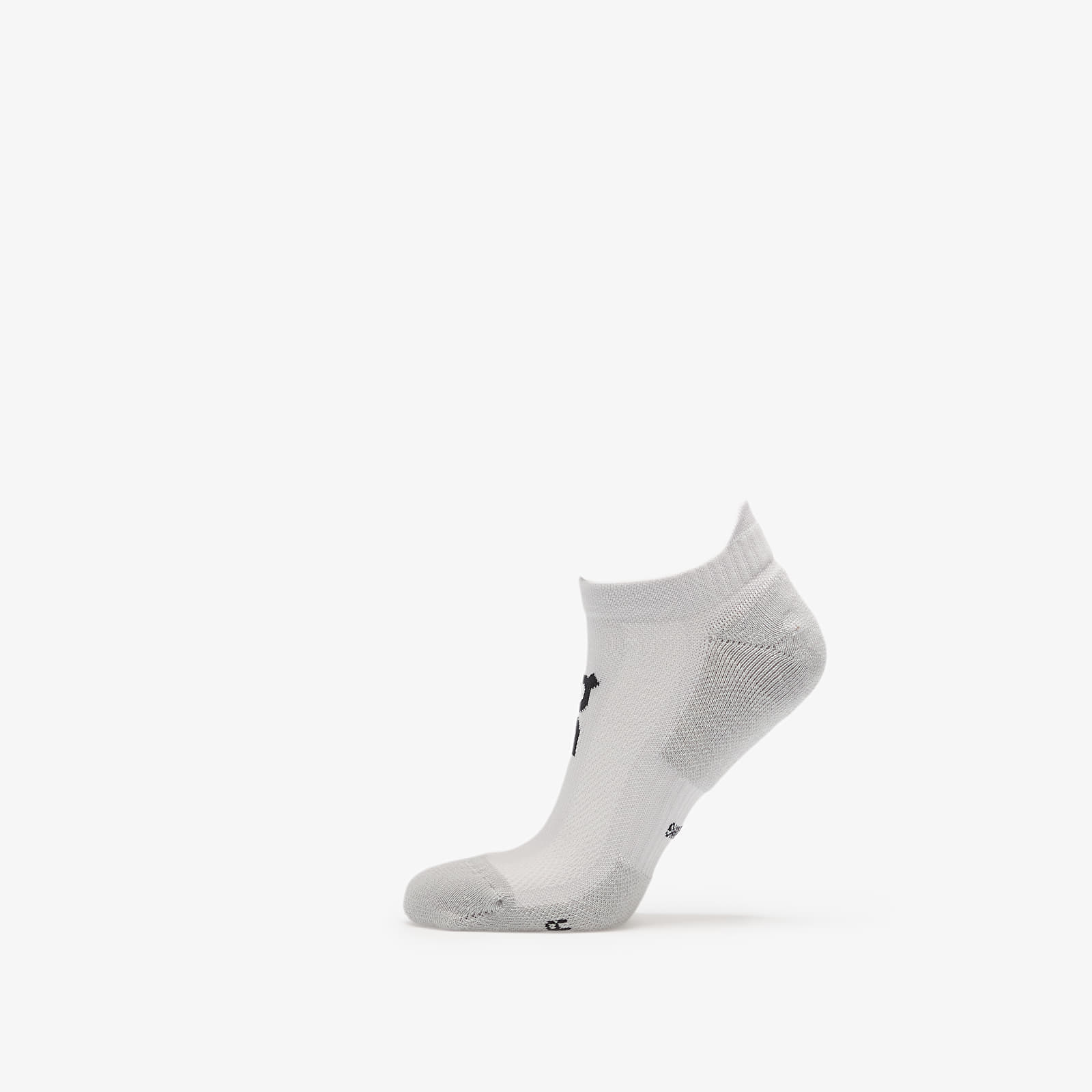 On Core Run Sock Low 2-Pack Glacier L