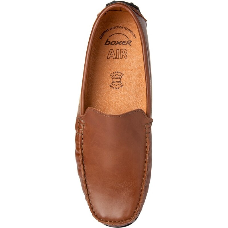 Boxer 21249 (ταμπα) driving moccasins