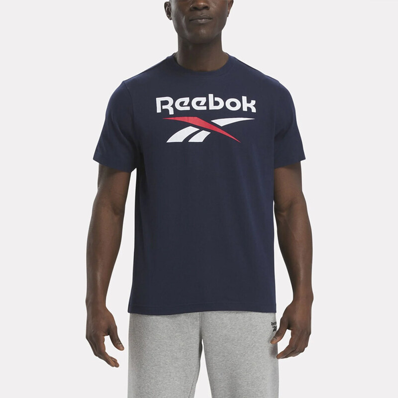 Reebok Sport Reebok Identity Big Stacked Logo Ανδρικό T-shirt