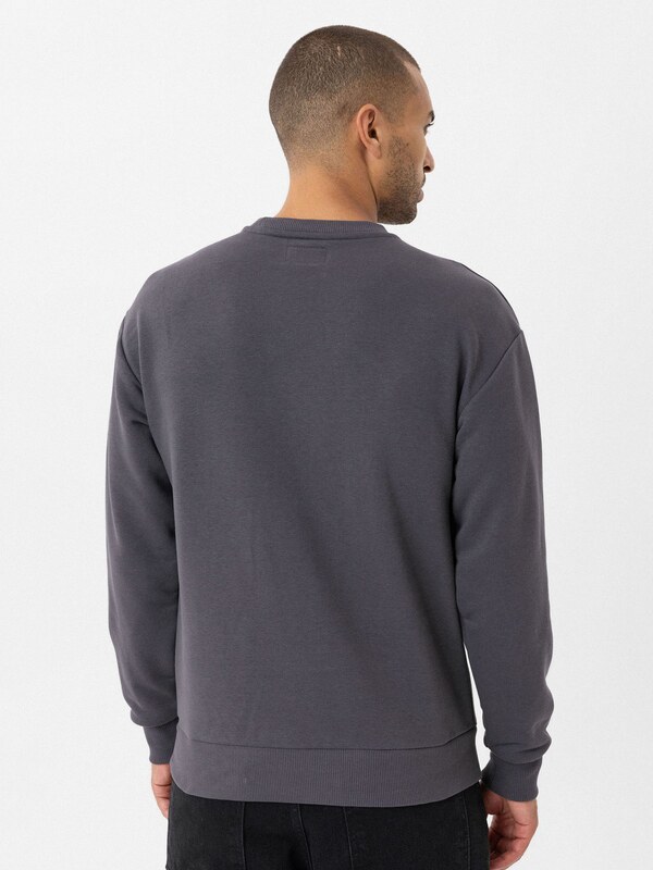 Williot Μπλούζα φούτερ γκρι / ανάμεικτα χρώματα