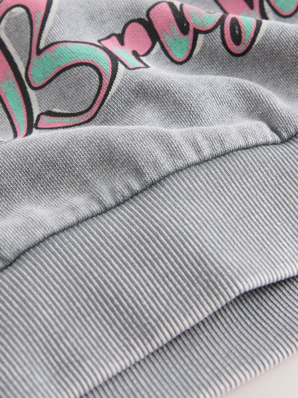 Next Μπλούζα φούτερ γκρι / μέντα / πασχαλιά / ροζ