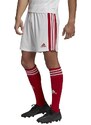 ΑΝΔΡΙΚΟ ΣΟΡΤΣ ADIDAS Squadra 21 Short
