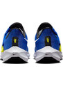 Παπούτσια για τρέξιμο Nike Pegasus FlyEase dj7381-401