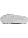 Παπούτσια Nike WMNS AIR MAX 90 dh8010-100