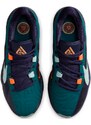 Παπούτσια μπάσκετ Nike ZOOM FREAK 5 dx4985-300