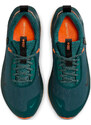 Παπούτσια για τρέξιμο Nike InfinityRN 4 GORE-TEX fb2204-300 42,5