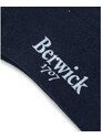Κάλτσες Ανδρικά Berwick Μπλε CAL9964