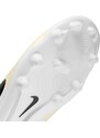Ποδοσφαιρικά παπούτσια Nike LEGEND 10 ACADEMY FG/MG dv4337-700