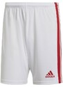ΑΝΔΡΙΚΟ ΣΟΡΤΣ ADIDAS Squadra 21 Short