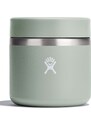Θερμός φαγητού Hydro Flask 20 Oz Insulated Food Jar Agave χρώμα: πράσινο, RF20374