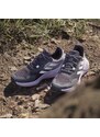 Παπούτσια Trail adidas TERREX SOULSTRIDE R.RDY W id7754