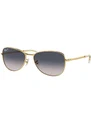 Γυαλιά ηλίου Ray-Ban χρώμα: χρυσαφί, 0RB3733
