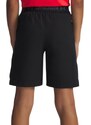 Under Armour Σορτς UA Vanish Shorts unisex
