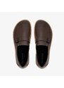 Be Lenka Amadeus Dark Brown